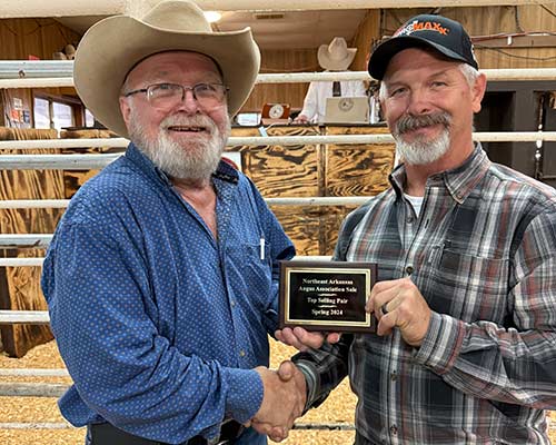 Top Selling Spring Pair