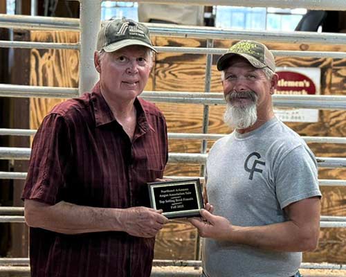 Top Selling Bred Female